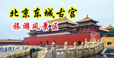 欧美操逼视频免费中国北京-东城古宫旅游风景区